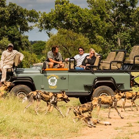 Kambaku Safari Lodge Timbavati Game Reserve Esterno foto