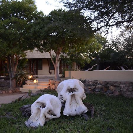Kambaku Safari Lodge Timbavati Game Reserve Esterno foto