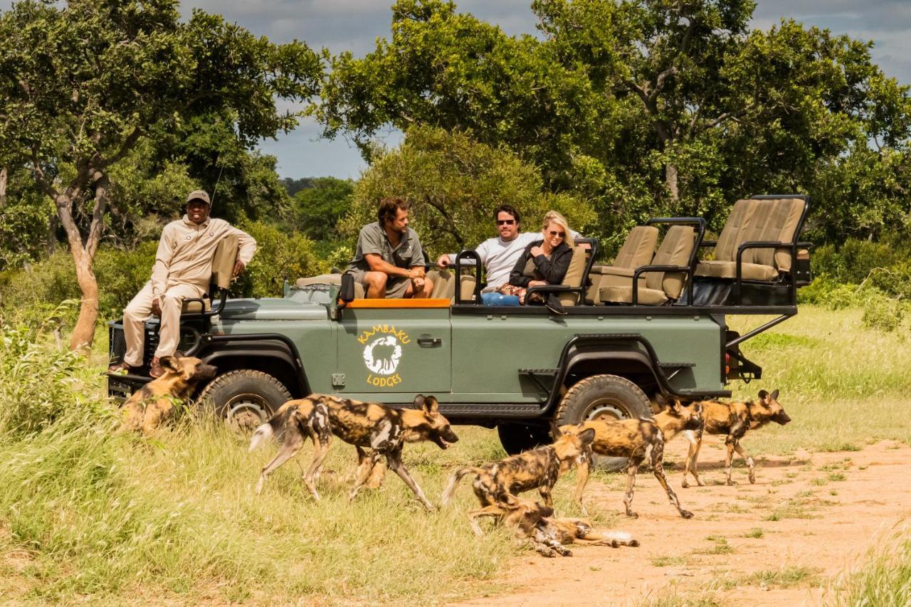 Kambaku Safari Lodge Timbavati Game Reserve Esterno foto