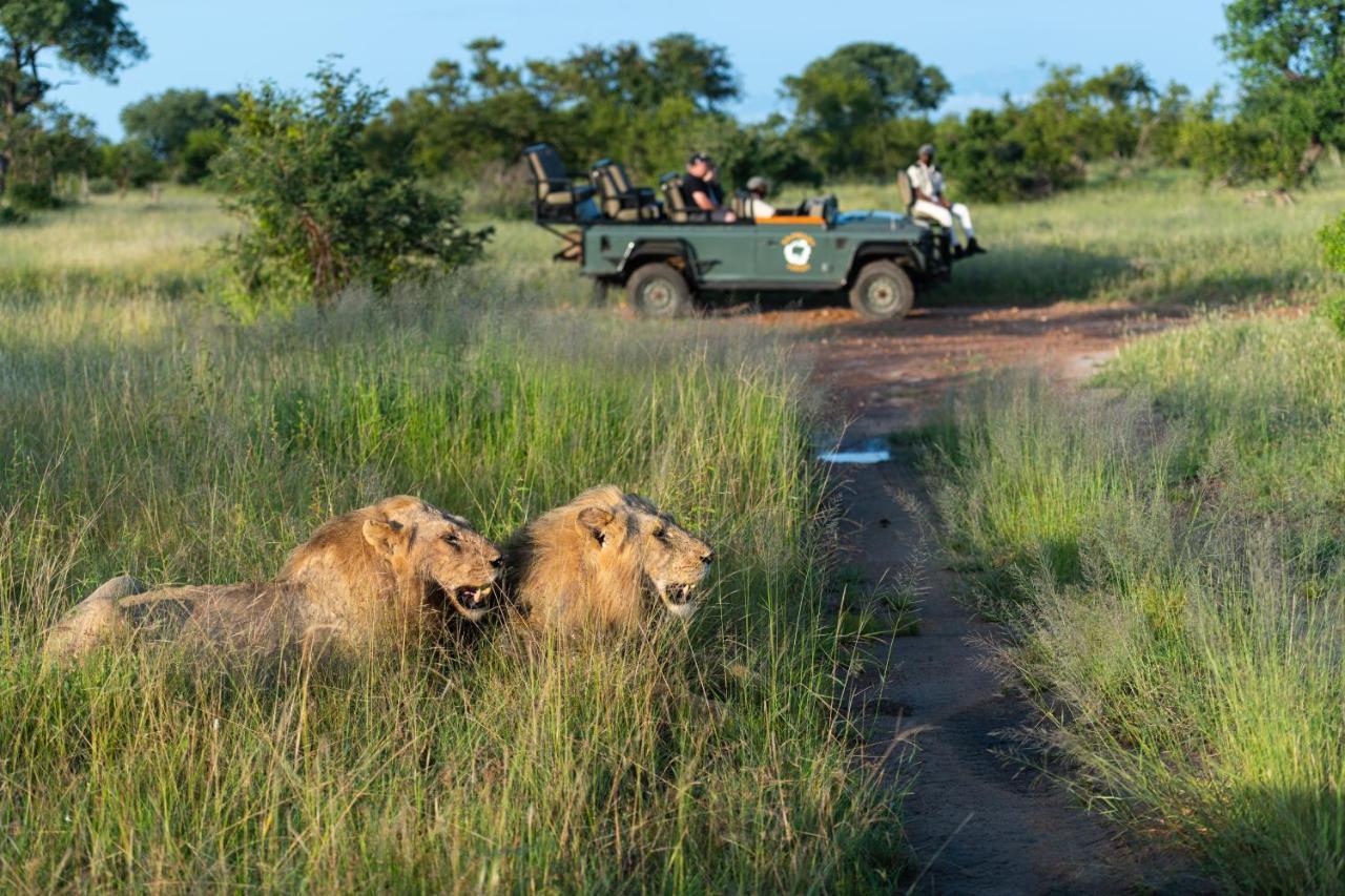 Kambaku Safari Lodge Timbavati Game Reserve Esterno foto
