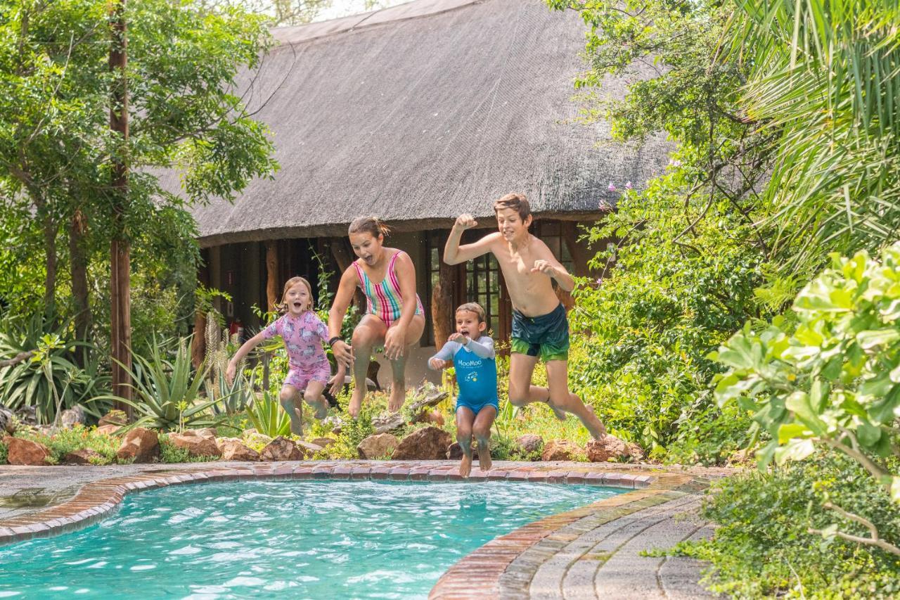 Kambaku Safari Lodge Timbavati Game Reserve Esterno foto