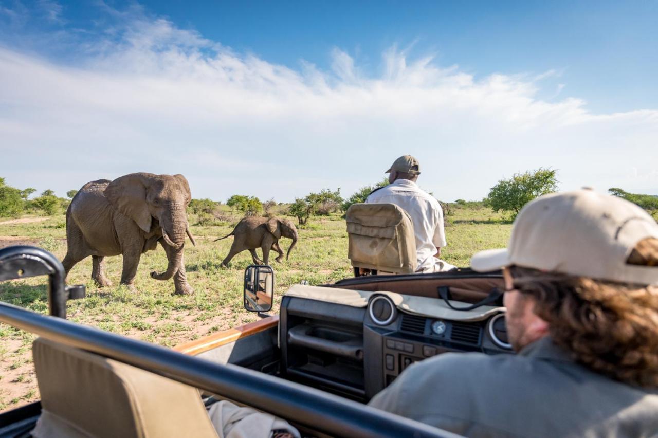 Kambaku Safari Lodge Timbavati Game Reserve Esterno foto