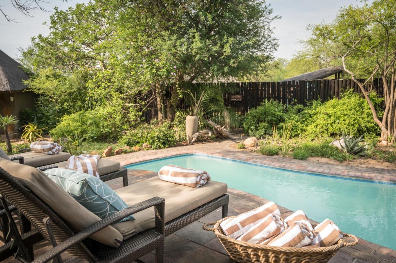 Kambaku Safari Lodge Timbavati Game Reserve Esterno foto