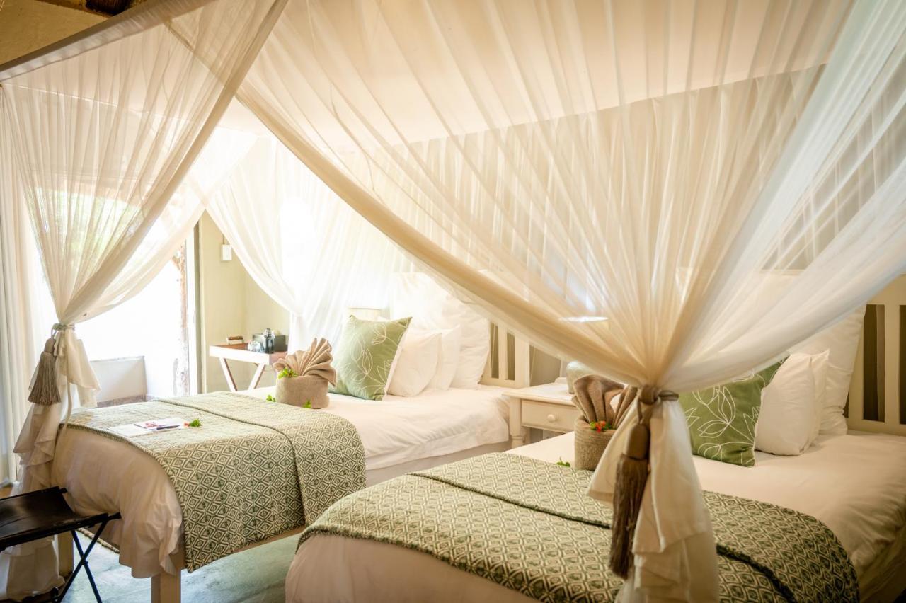 Kambaku Safari Lodge Timbavati Game Reserve Esterno foto