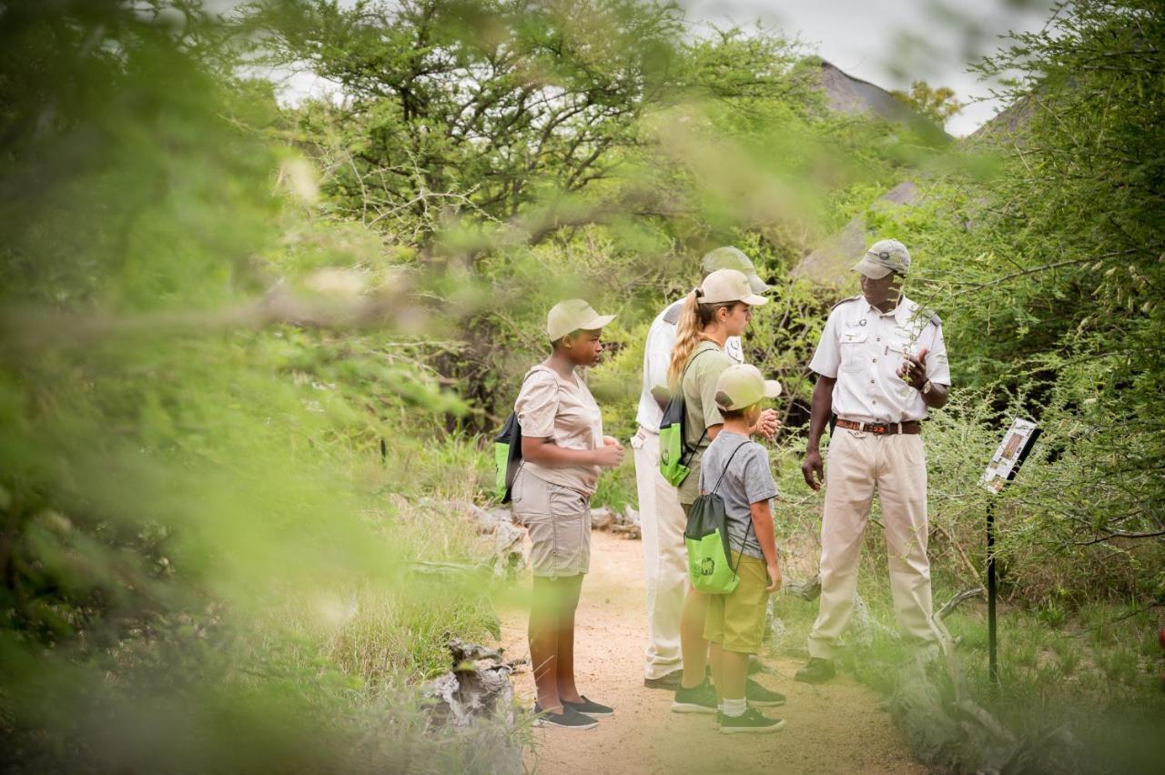 Kambaku Safari Lodge Timbavati Game Reserve Esterno foto