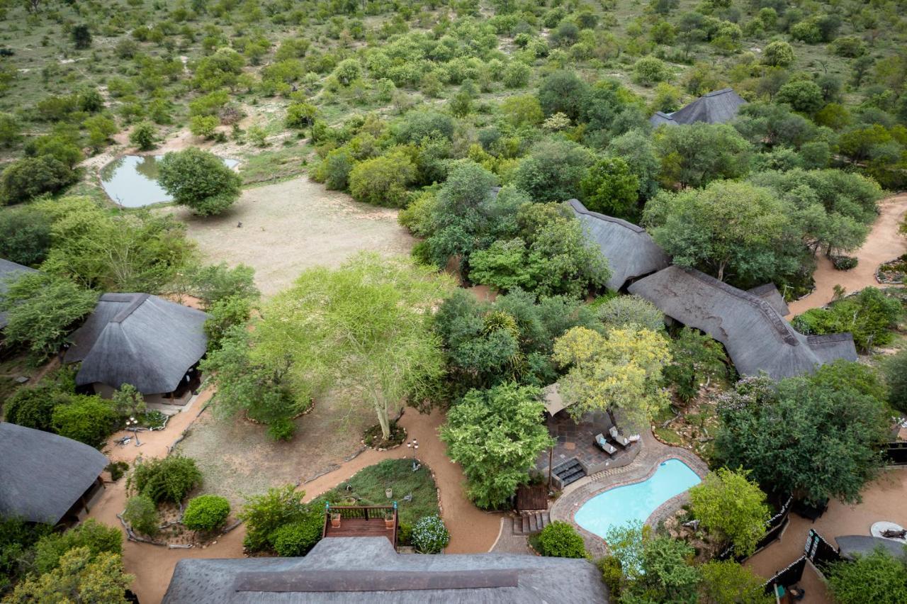 Kambaku Safari Lodge Timbavati Game Reserve Esterno foto