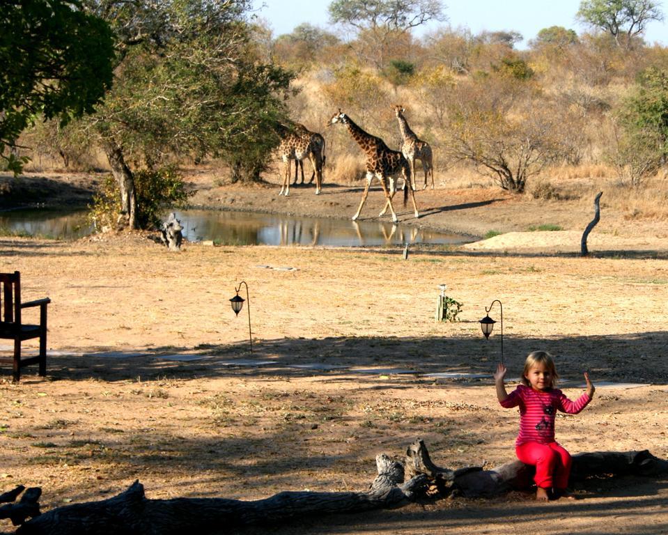 Kambaku Safari Lodge Timbavati Game Reserve Esterno foto