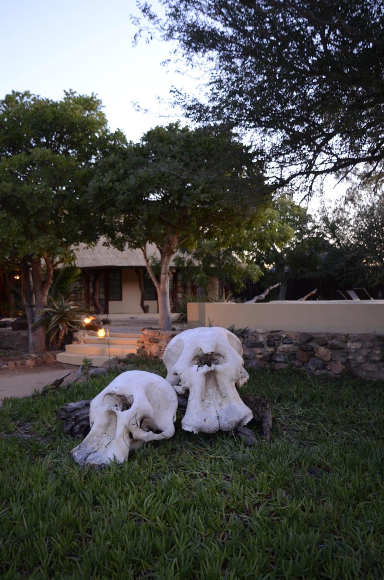 Kambaku Safari Lodge Timbavati Game Reserve Esterno foto